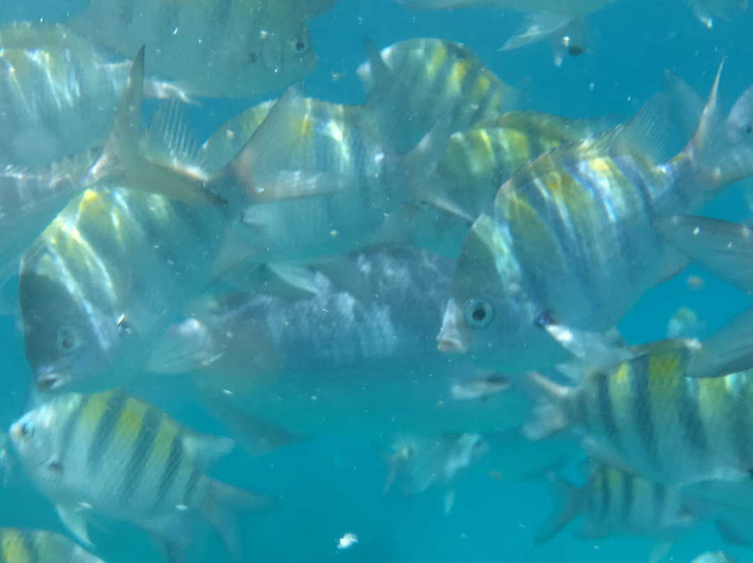 Sea Spray Watersports-圣詹姆斯必去景点