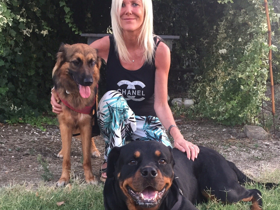 Aesis La Dolce Collina主图