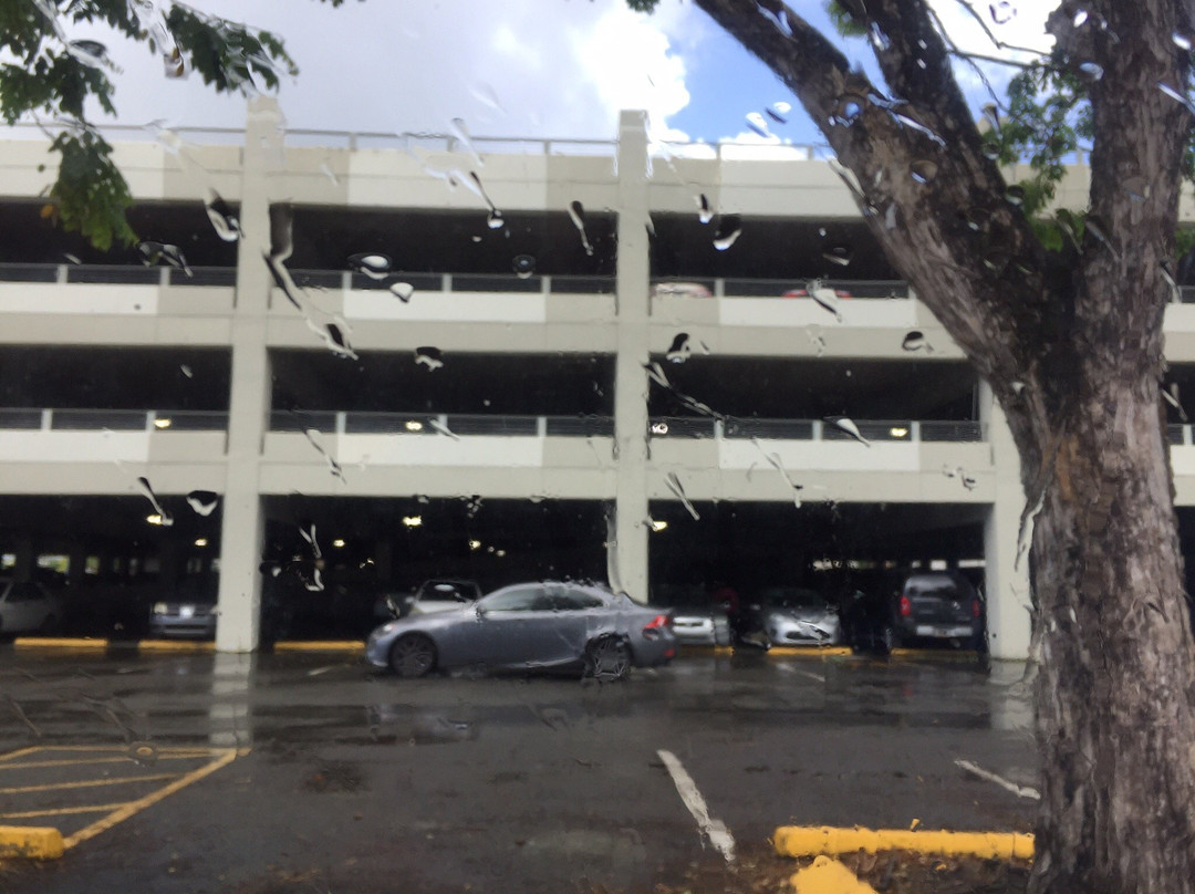 Plaza Carolina-卡罗来纳必去景点