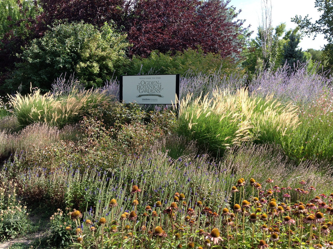 Ogden Botanical Gardens景点图片