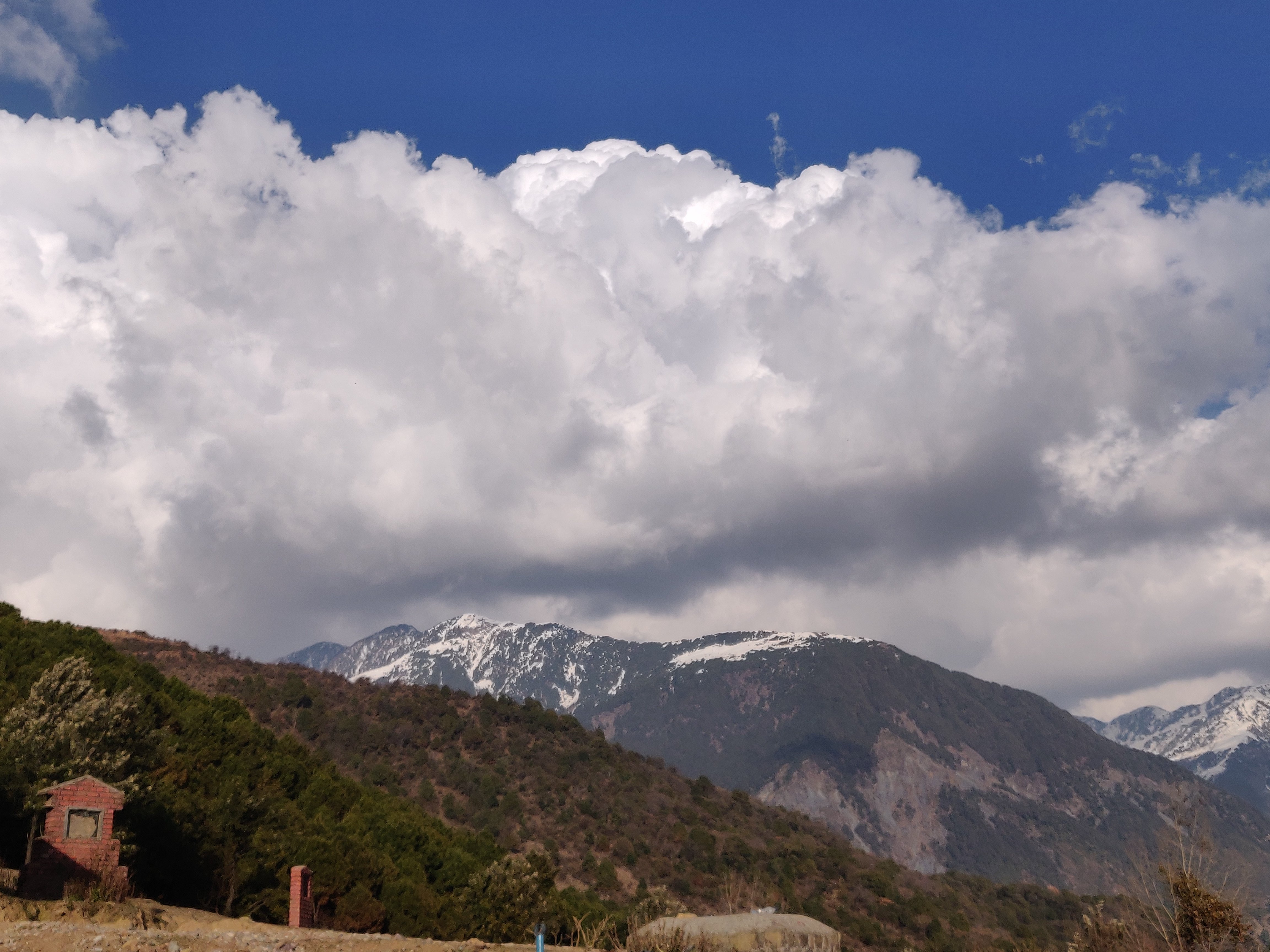 Beyond Stay Fresco Palampur-酒店景观