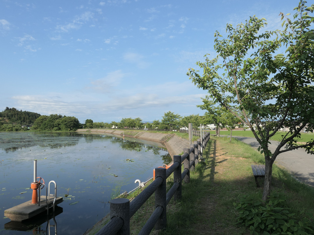 Oyama Kamiike Pond景点图片