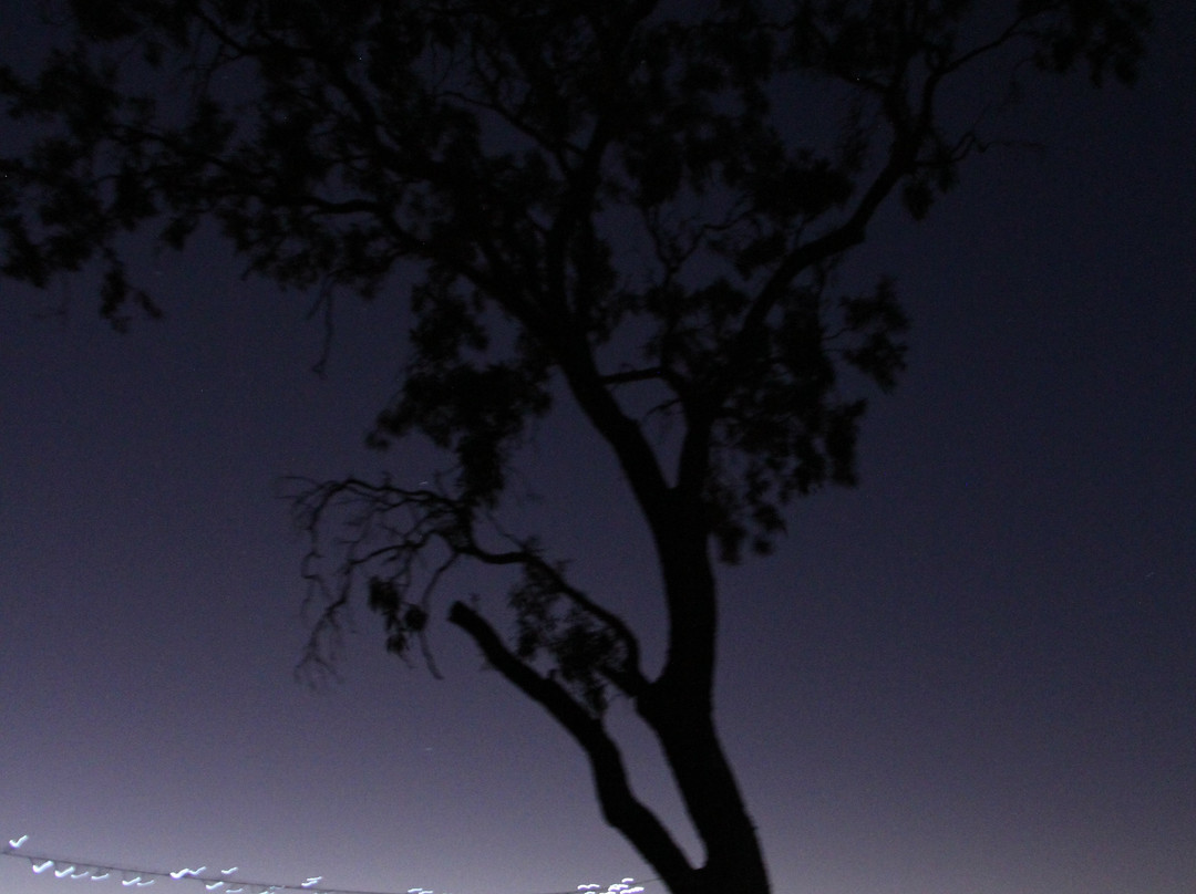 Camden Park Station-Longreach必去景点