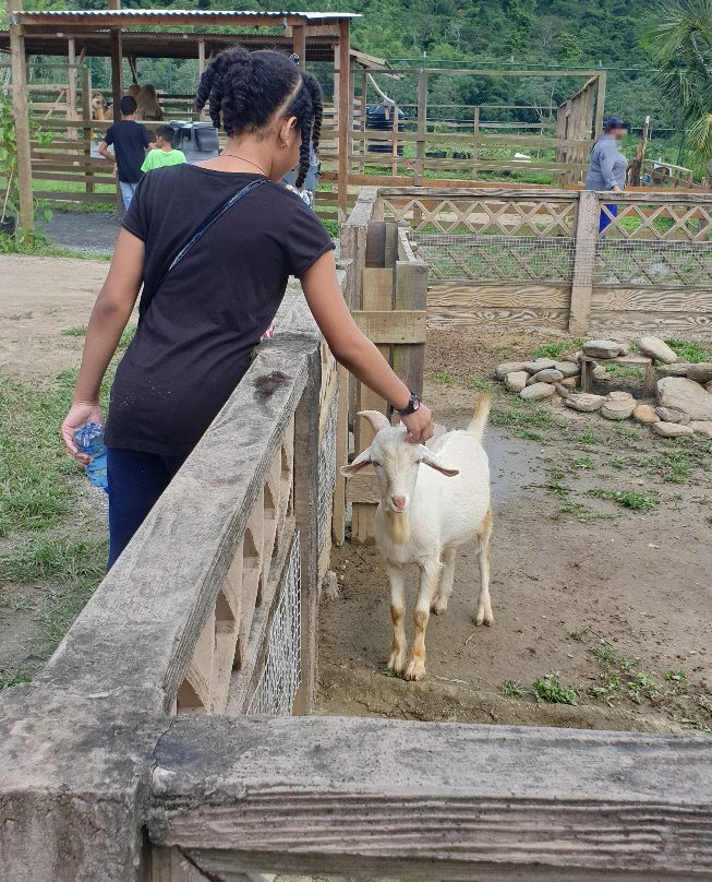 Safari Eco Park-Chaguaramas必去景点