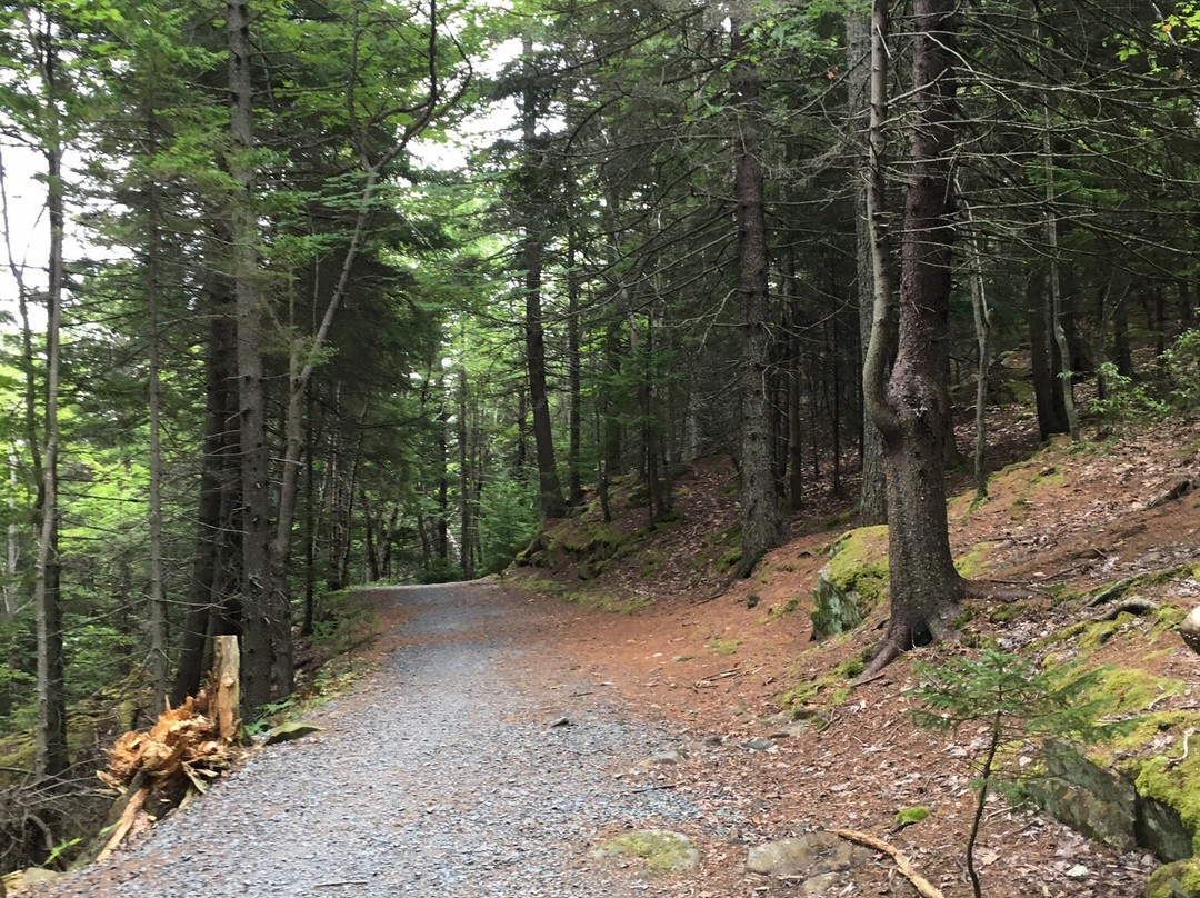 Sir Sandford Fleming Park (The Dingle)-哈利法克斯必去景点