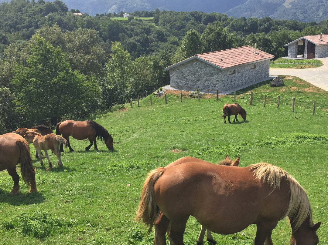 IrriSarri Land-Igantzi必去景点