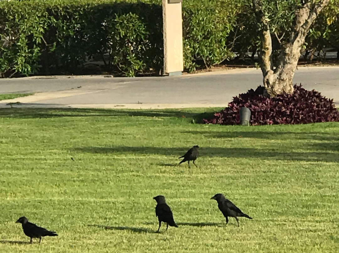 特莫达湾悦榕度假酒店主图