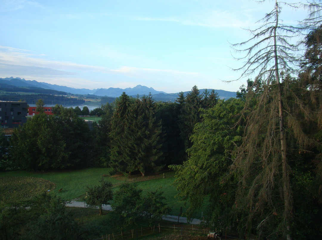Domaine Notre Dame de la Route主图