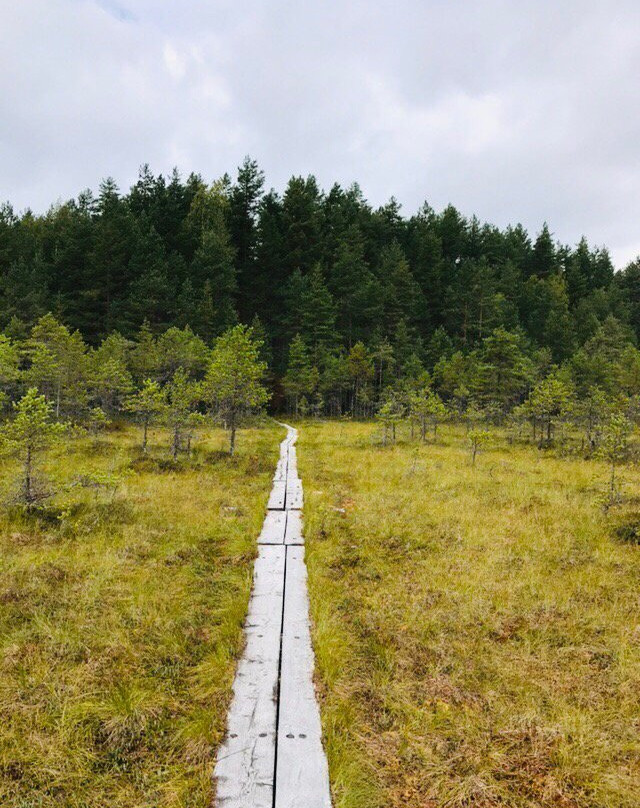 Leivonmaki National Park-Joutsa必去景点