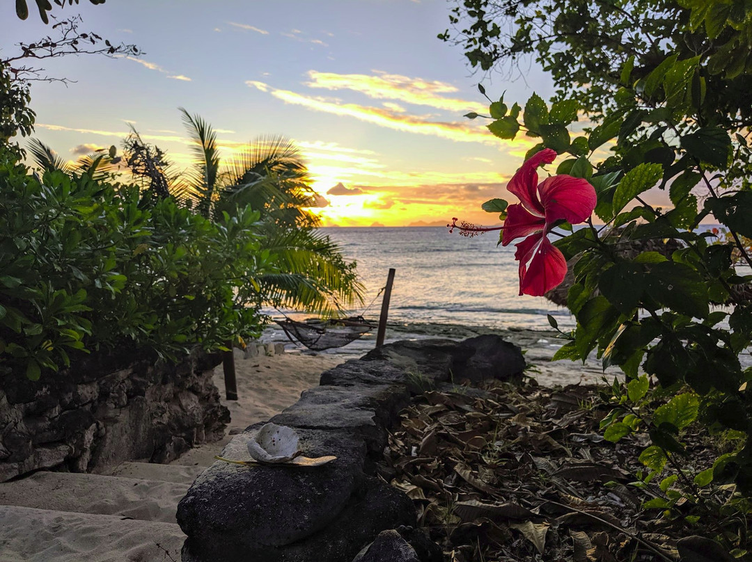 Navini Island Resort主图