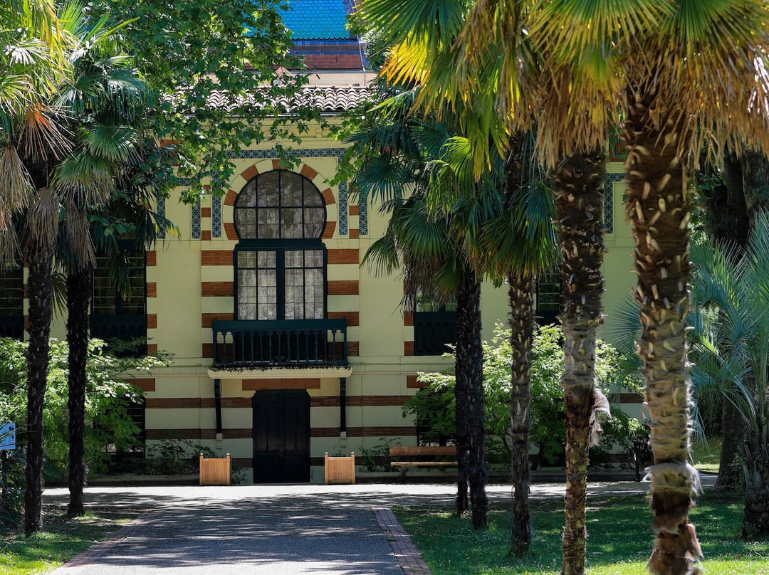 Musée Georges Labit Toulouse景点图片