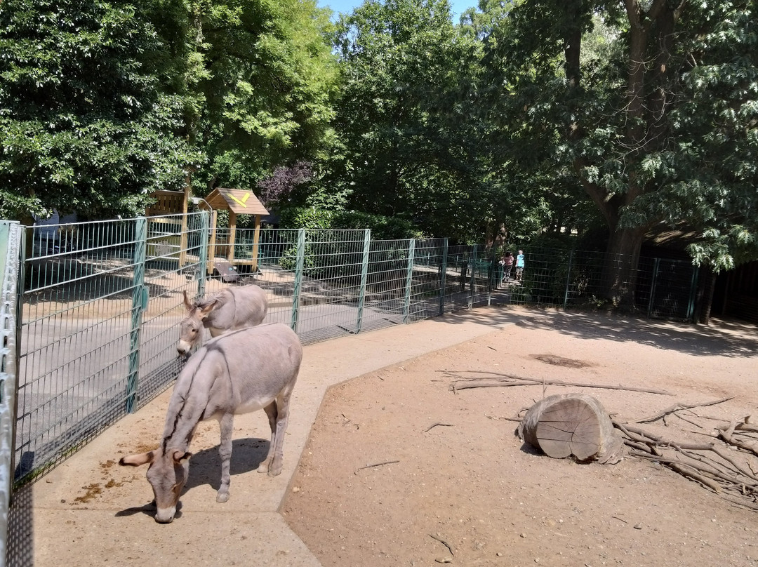 Tiergarten Mönchengladbach景点图片