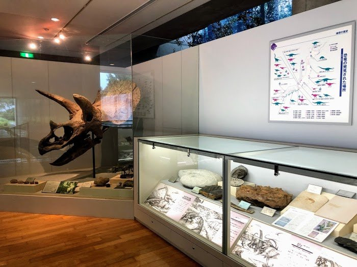 Yokogurayama Shizen no Mori Museum-越知町必去景点