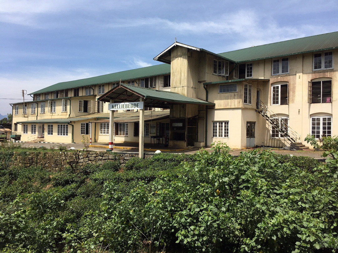 Haputale Kelliebedde Tea Factory