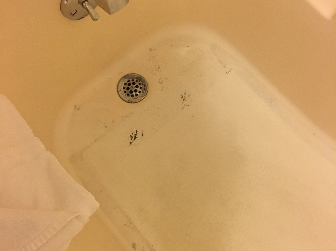 Blossom Hotel & Suites Traverse City主图