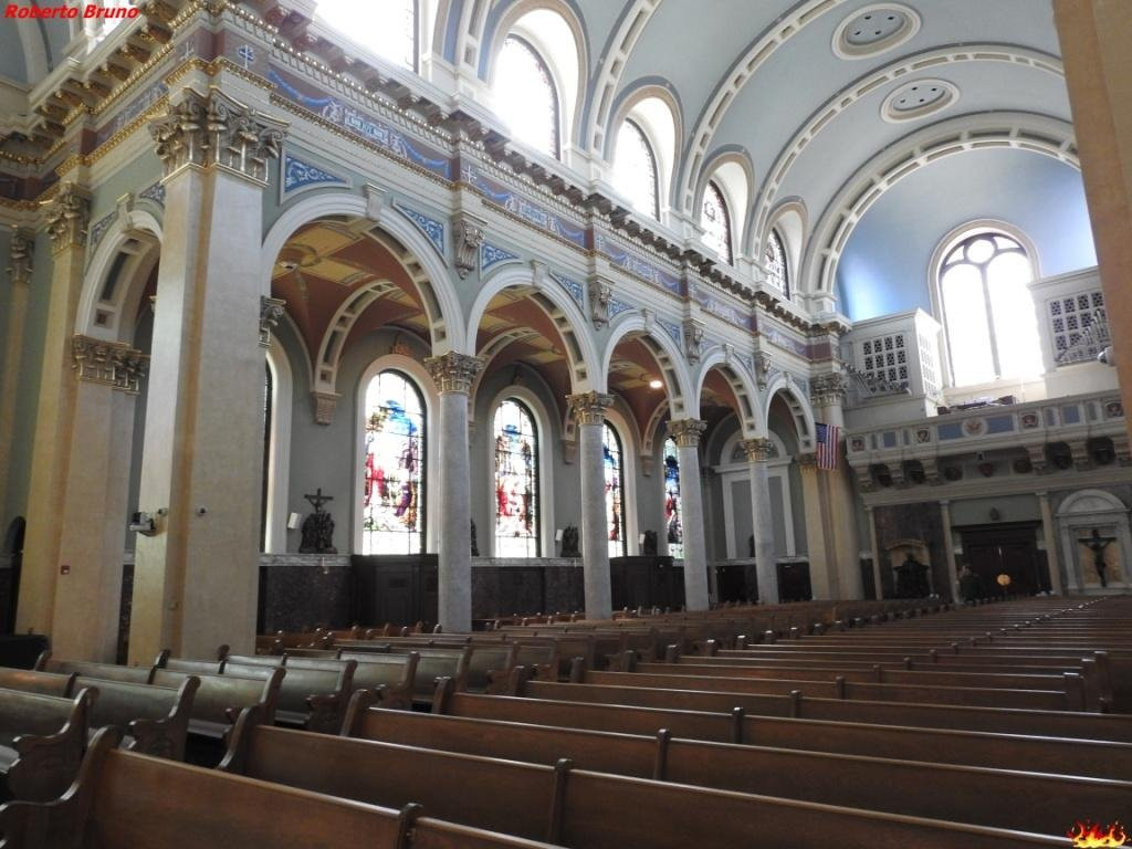 Cathedral of Saint Patrick景点图片