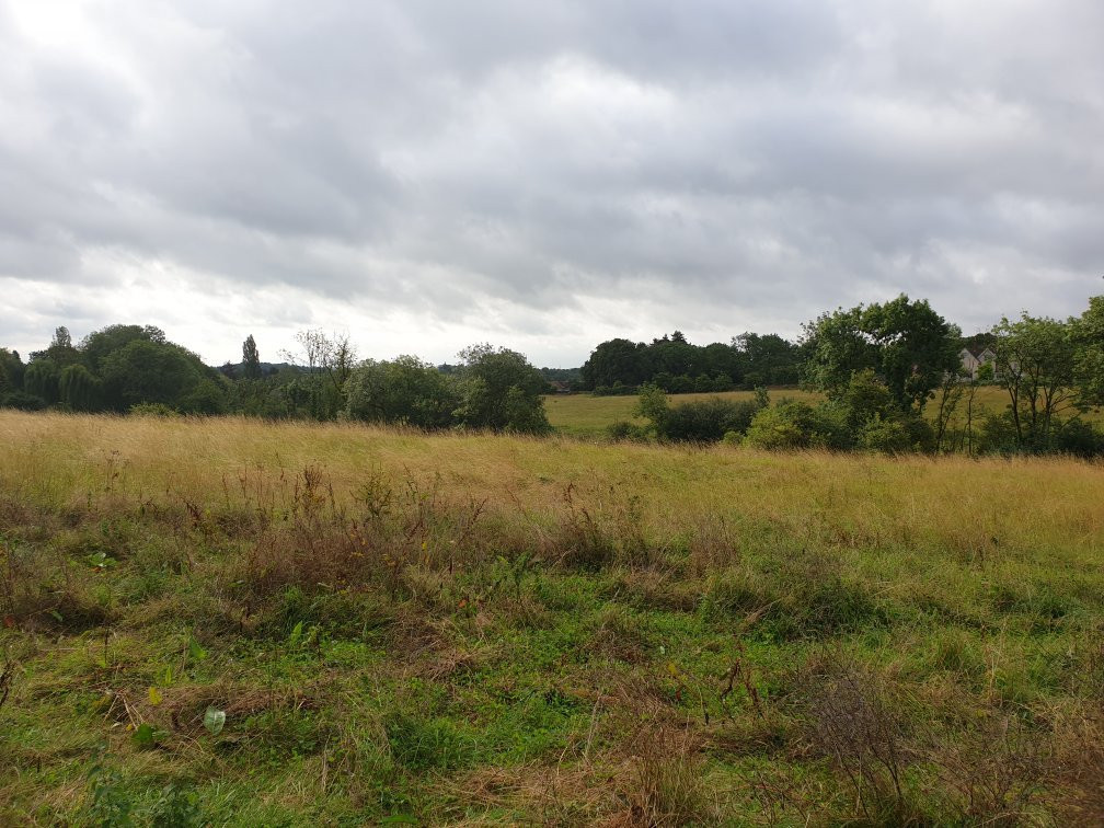 Wansford Pasture Nature Reserve景点图片