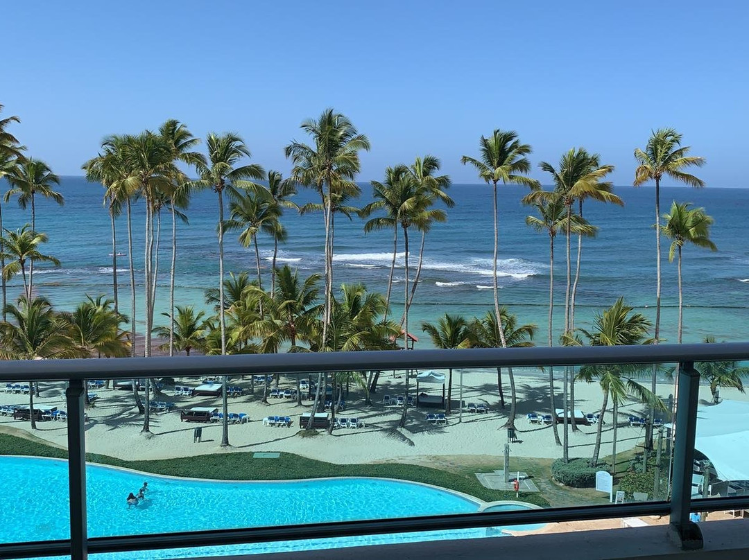 Xeliter Marbella主图