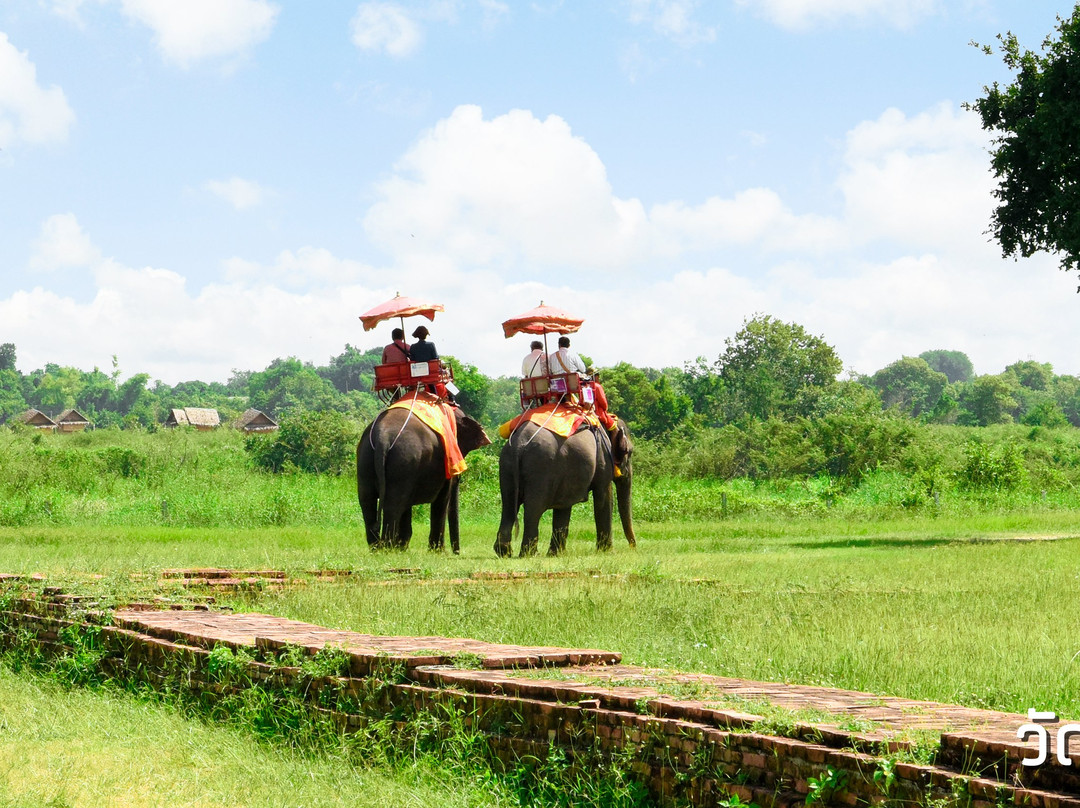 Wat Chang (Monastery of the Elephant)-大城必去景点