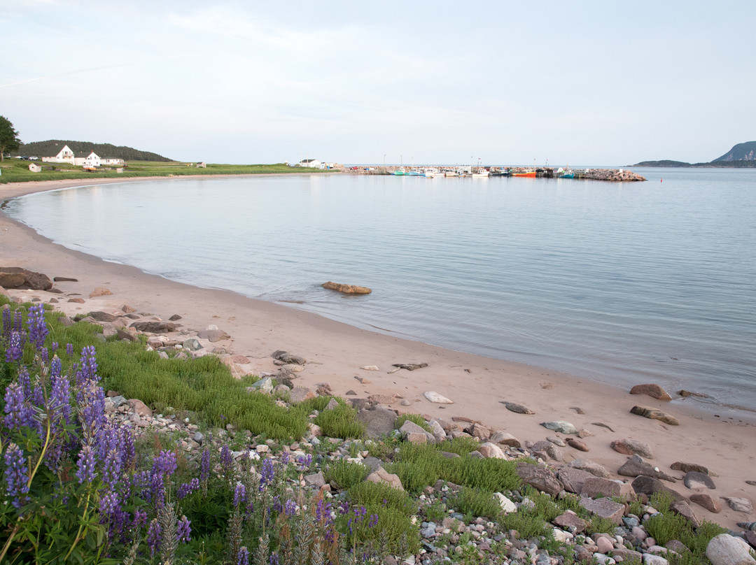 The Island Inn主图