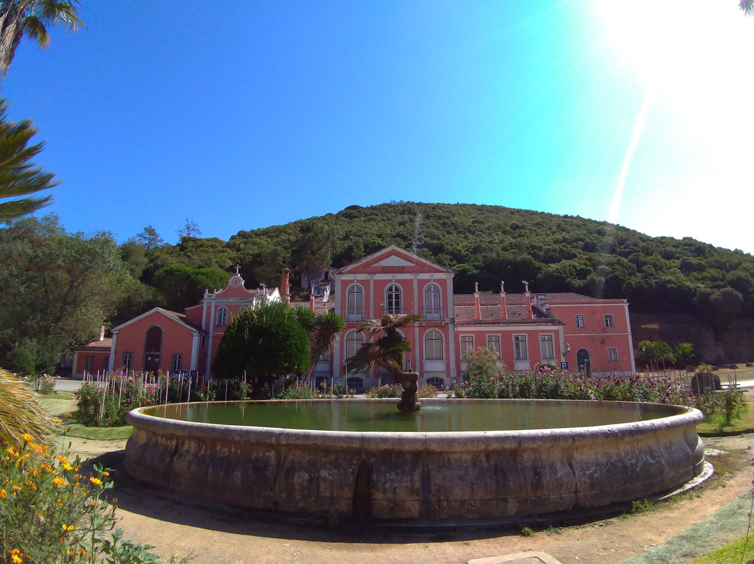Termas de Cucos景点图片
