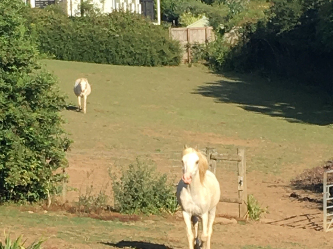 Cherry Orchard House主图