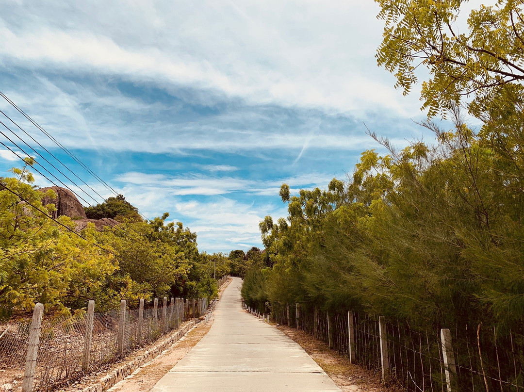 Binh Hung Island-Cam Ranh必去景点