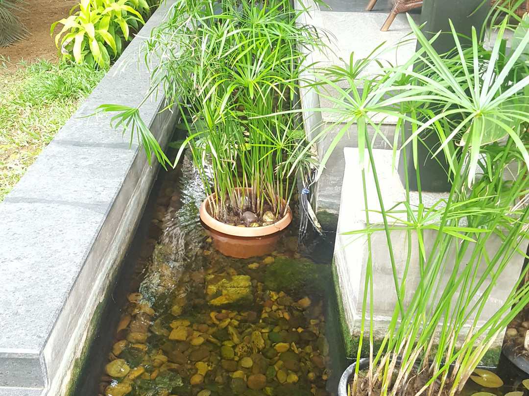 The Windflower Prakruthi Bangalore主图