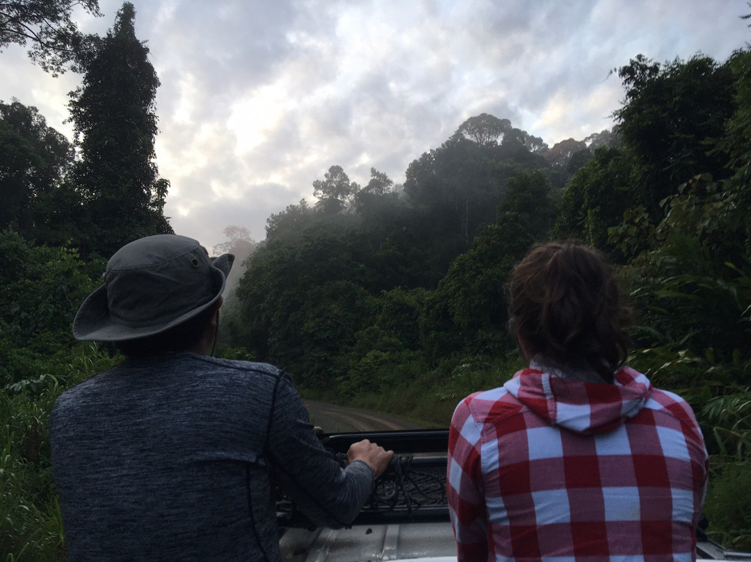 L.O.S.T Borneo Jungle Trekking景点图片