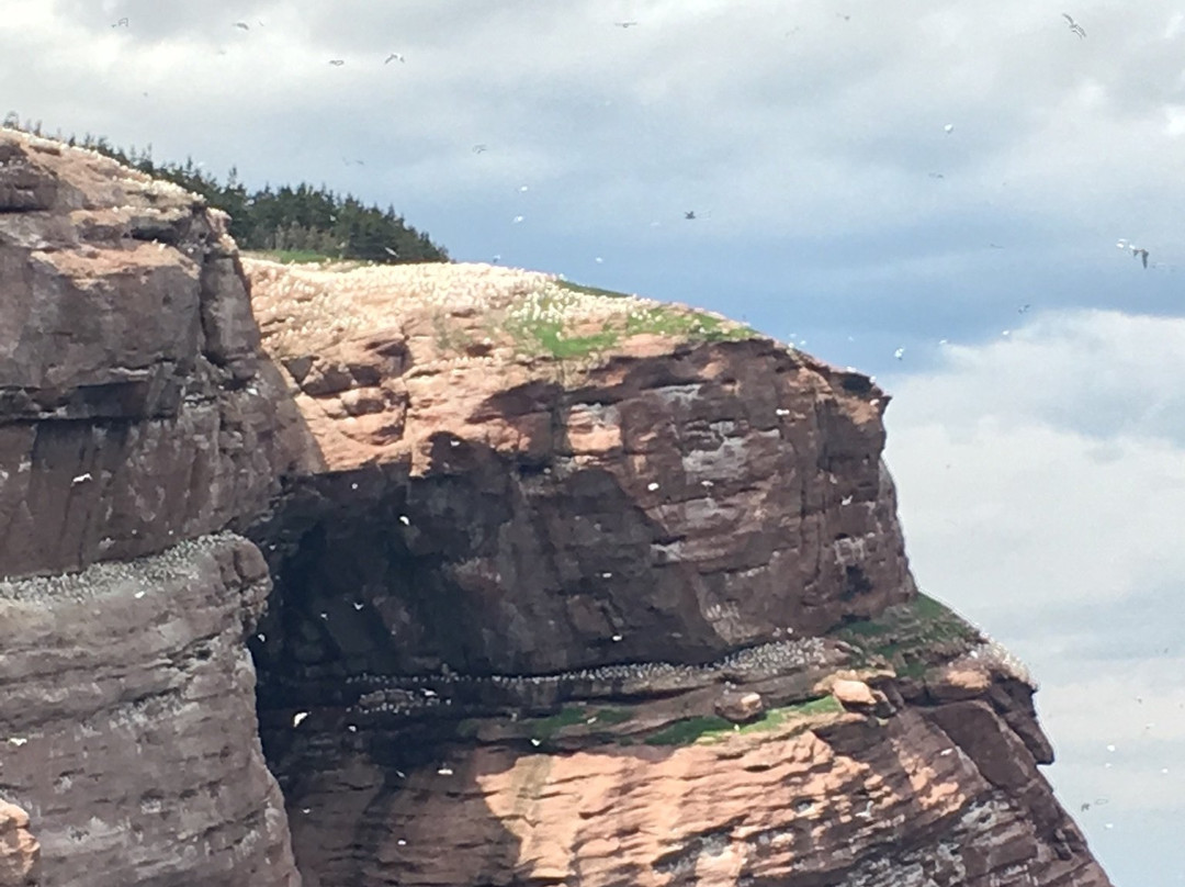 Parc national de l'Île-Bonaventure-et-du-Rocher-Percé-Perce必去景点