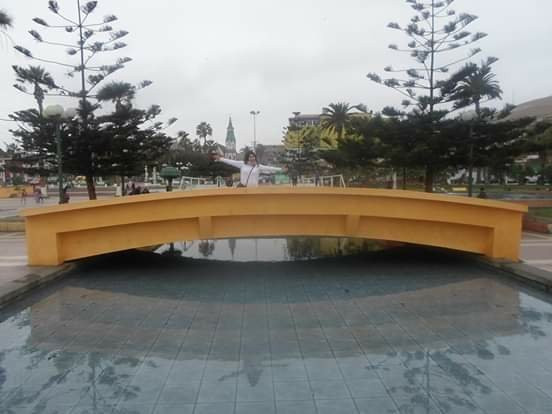 Vicuna Mackenna Park-阿里卡必去景点