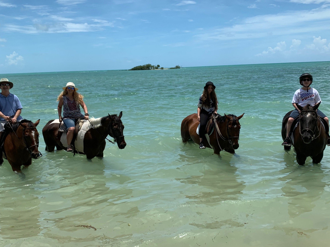Happy Trails Stables-Coral Harbour必去景点