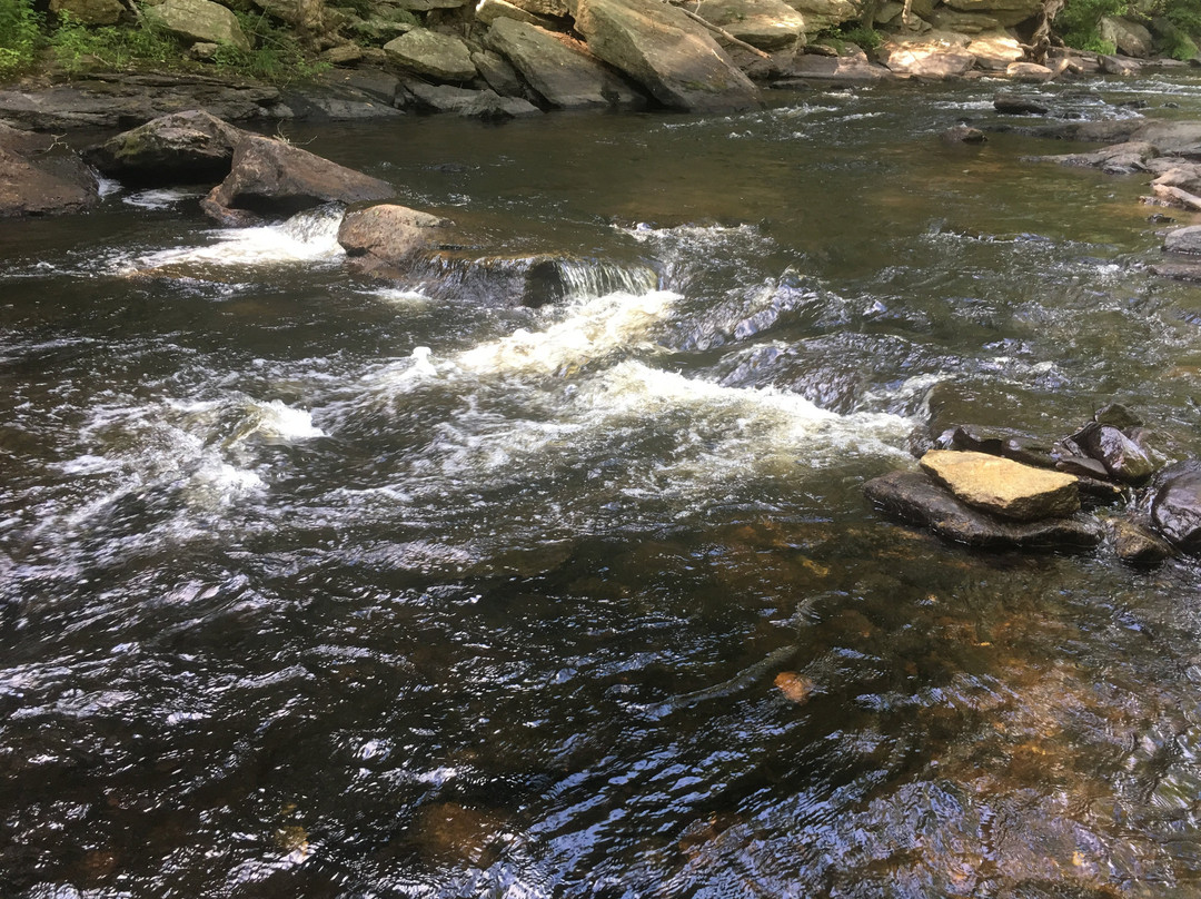 Diana's Pool-Chaplin必去景点