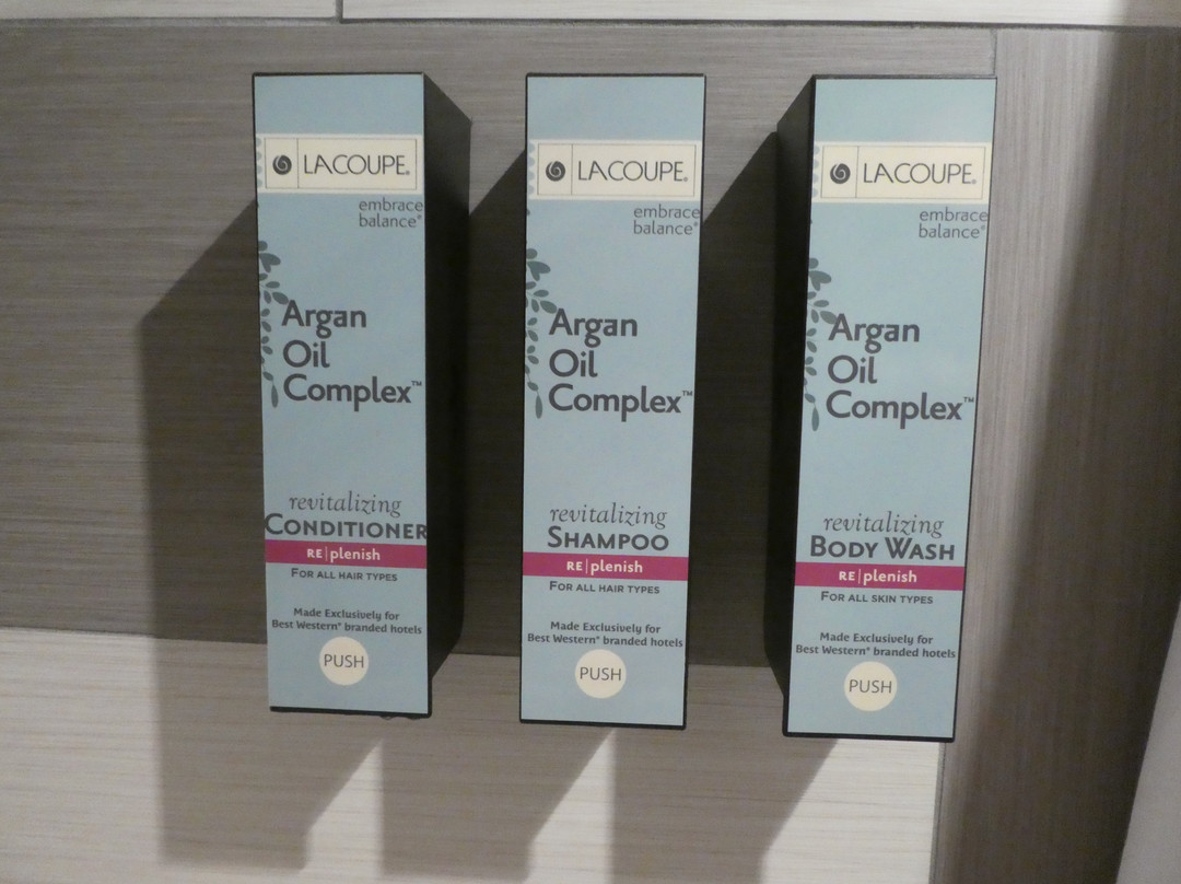 贝斯特韦斯特大庄园酒店主图