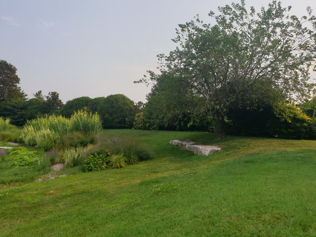 Agriturismo La Risarona主图