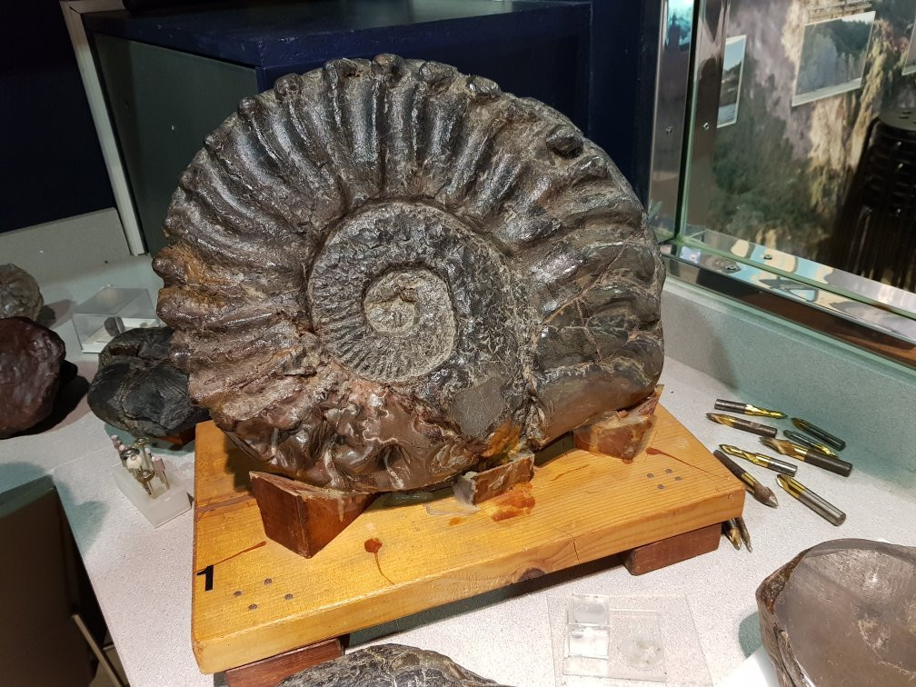 museo Nautilus景点图片