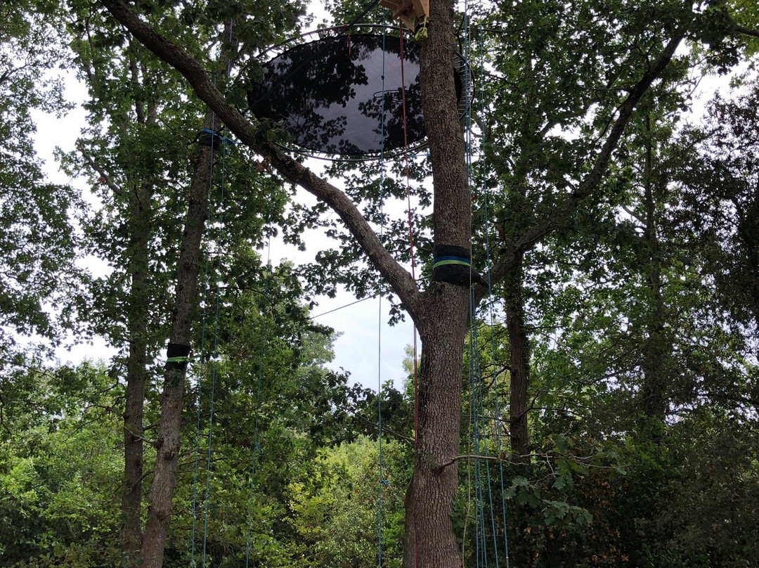 Infini Trees景点图片
