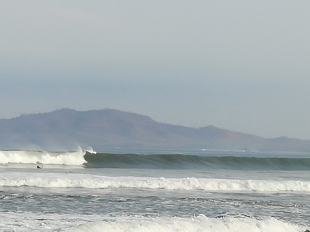 Seafari Costa Rica景点图片