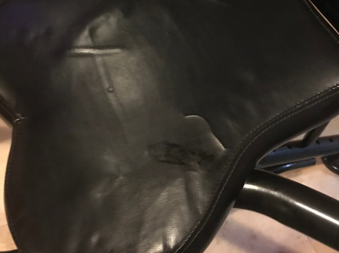 El Paraiso Motel主图