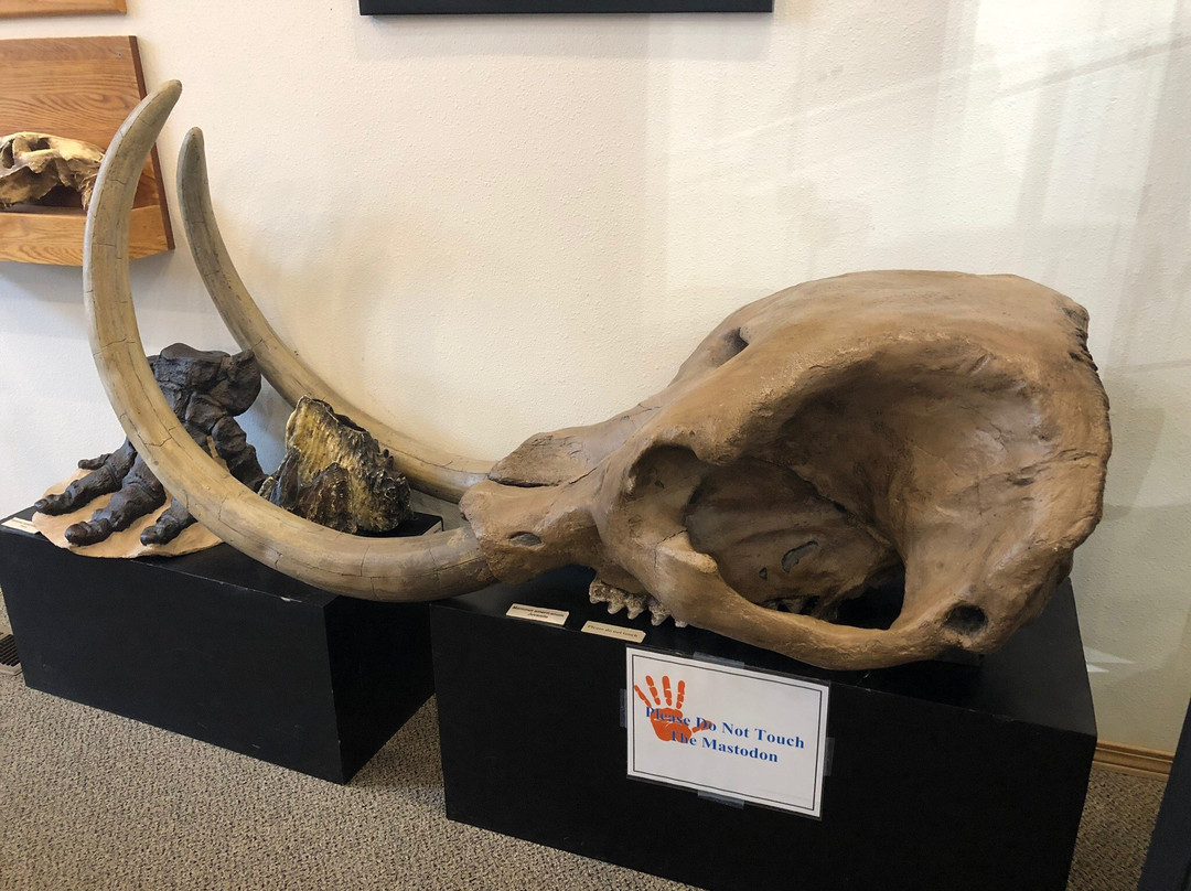 Hagerman Fossil Beds National Monument景点图片