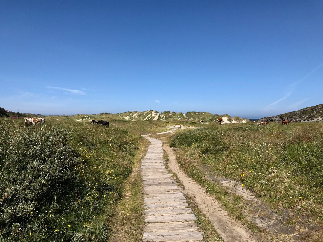 Vigdelstranden景点图片