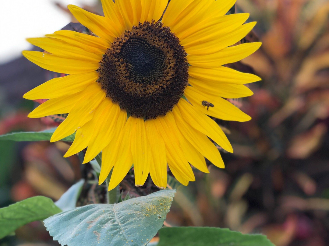 High Court View Hotel主图