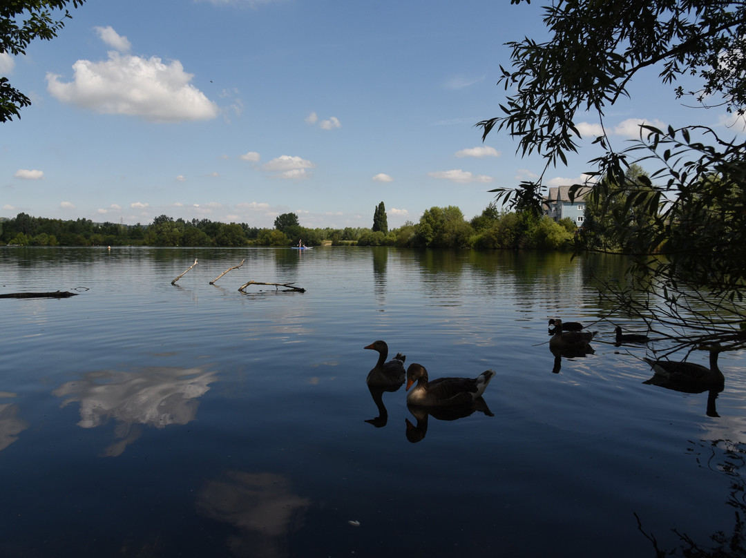 Leybourne Lakes Country Park景点图片