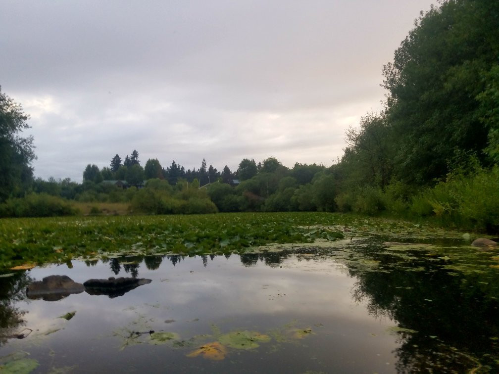 Rood Bridge Park-希尔斯伯勒必去景点