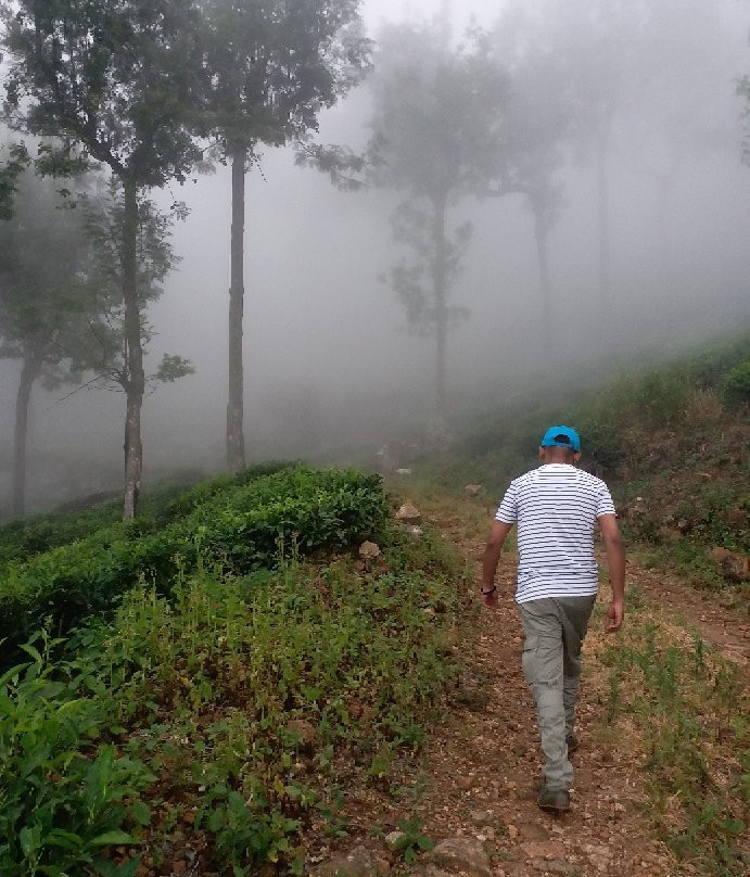 Devil's Staircase-Ohiya必去景点