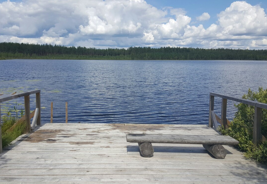 Teirumnieki Bog Trail-Rezekne必去景点