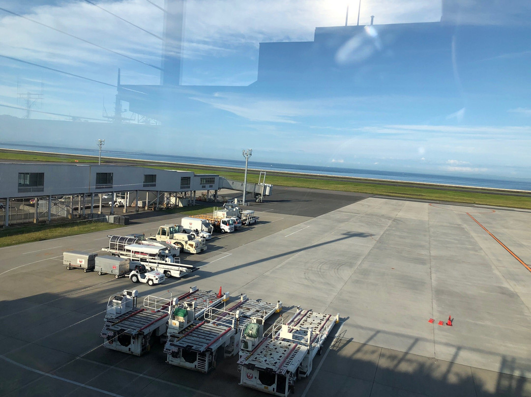 Oita Airport Observation Deck-国东市必去景点