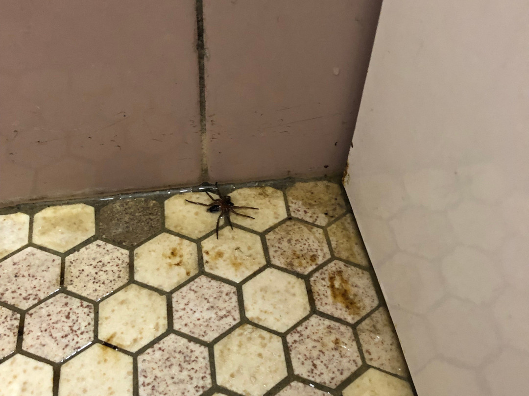 Mt Beauty Motor Inn主图