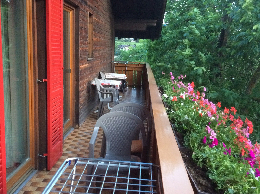 Peintnerhof Appartments & Zimmer主图