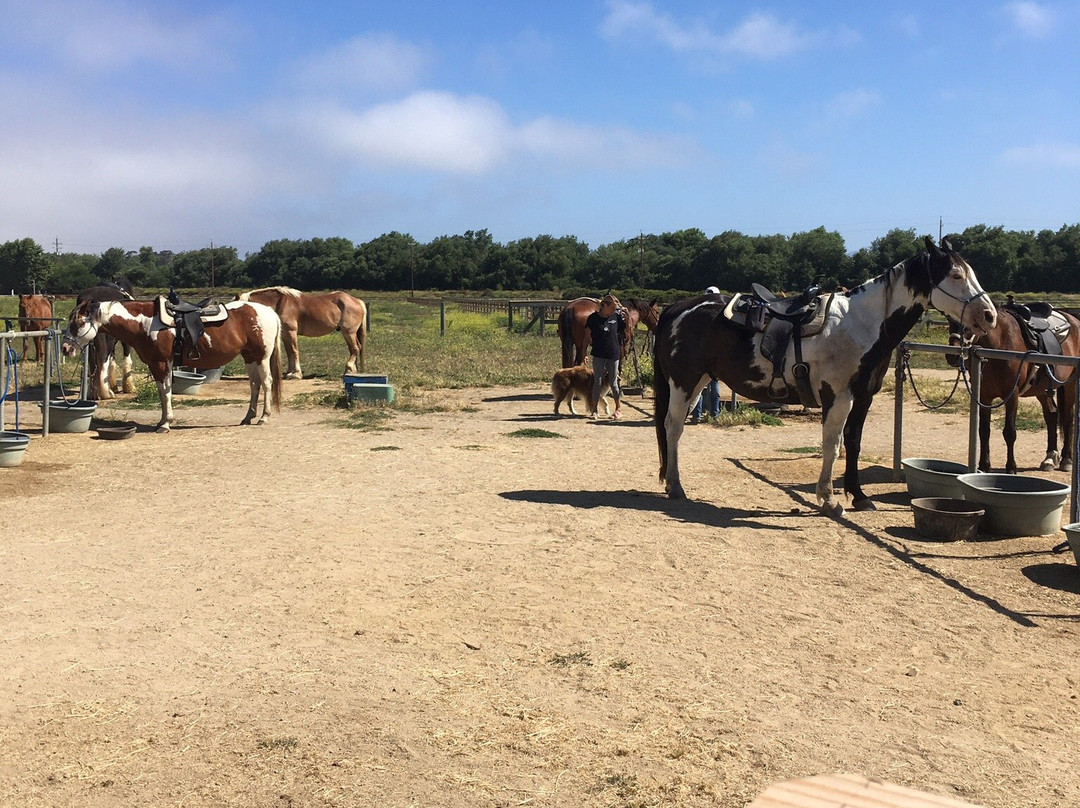 Pacific Dunes Ranch Riding Stables景点图片